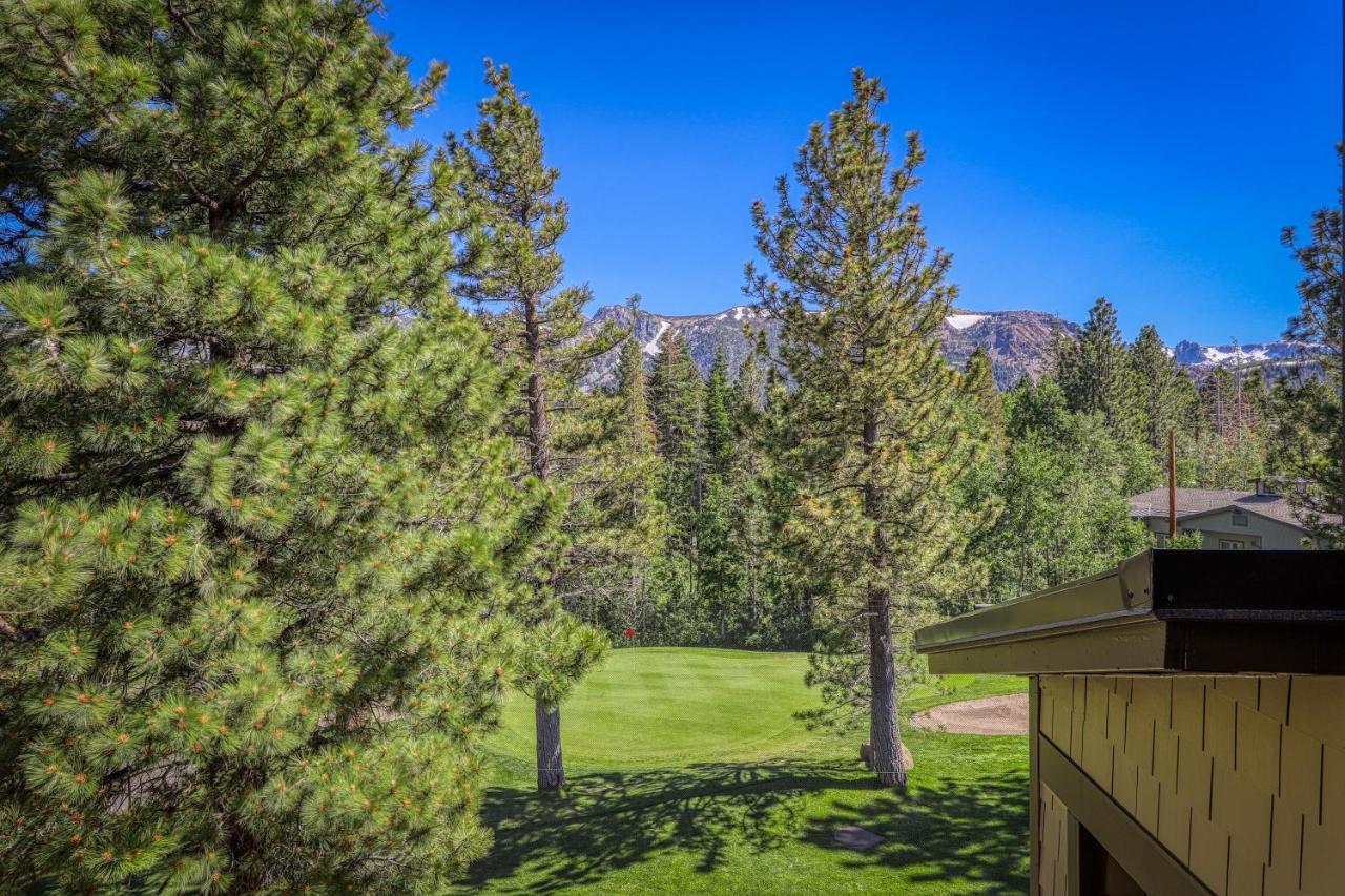 Mammoth Green Condos Маммот Лейкс Экстерьер фото